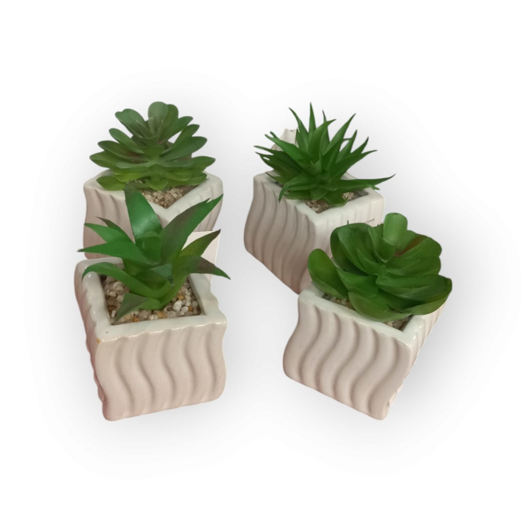 MINI MACETAS C/ PLANTAS SUCULENTAS.